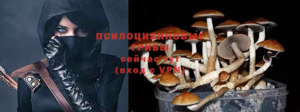 МДПВ Волосово