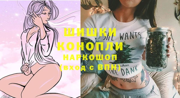 крисы Верхний Тагил