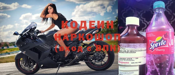 крисы Верхний Тагил