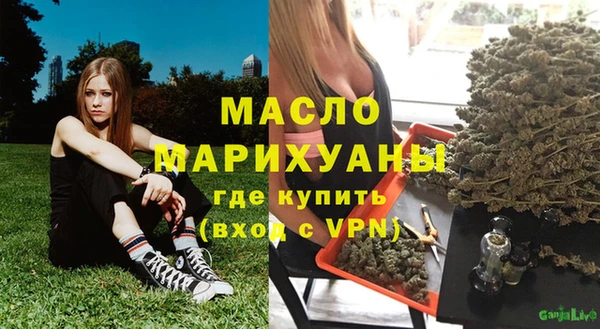 крисы Верхний Тагил