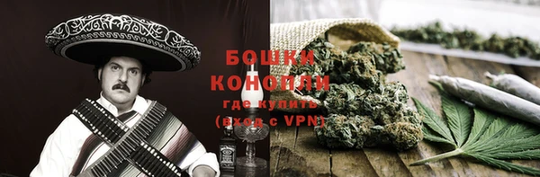 крисы Верхний Тагил