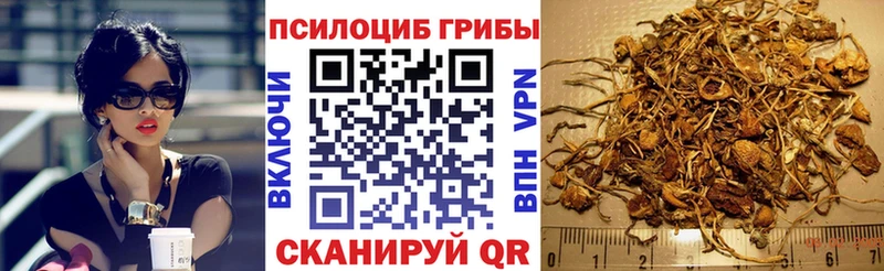 Галлюциногенные грибы мицелий  Дербент 